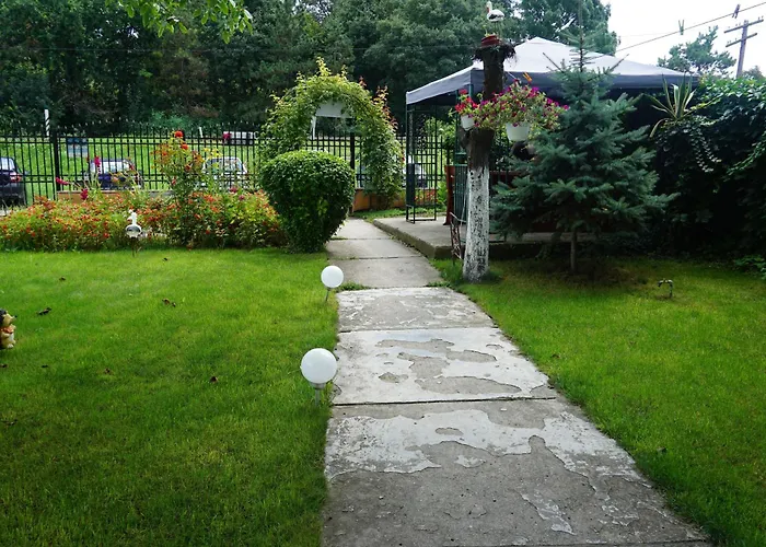 Casa Orhideea Hotel Costineşti